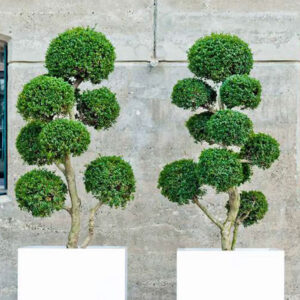 Bac et jardinière résine