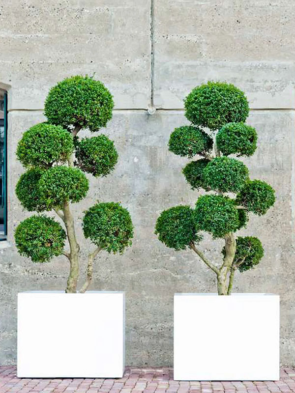 Bac et jardinière résine